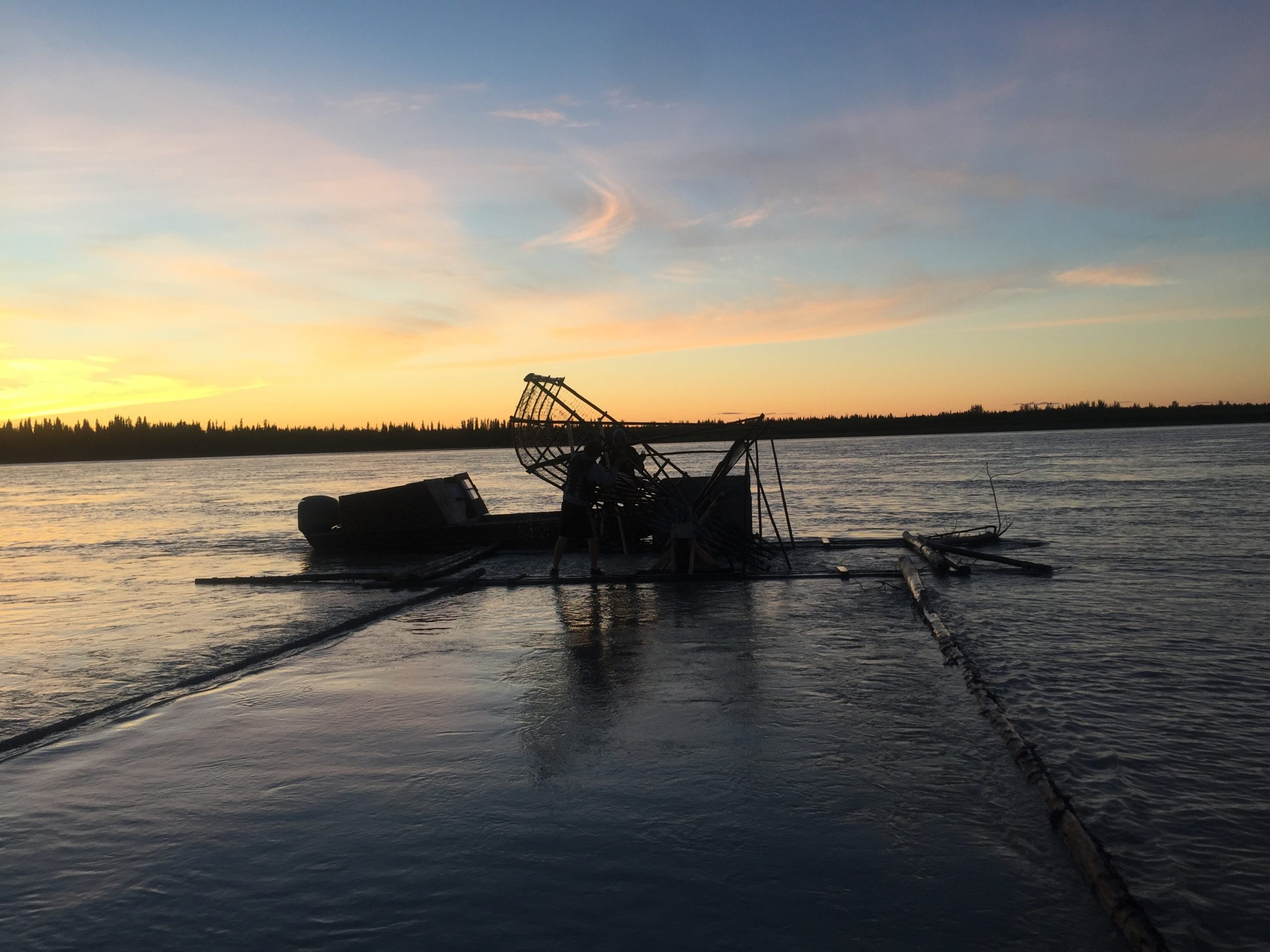 Fish Wheel to Fish Skins