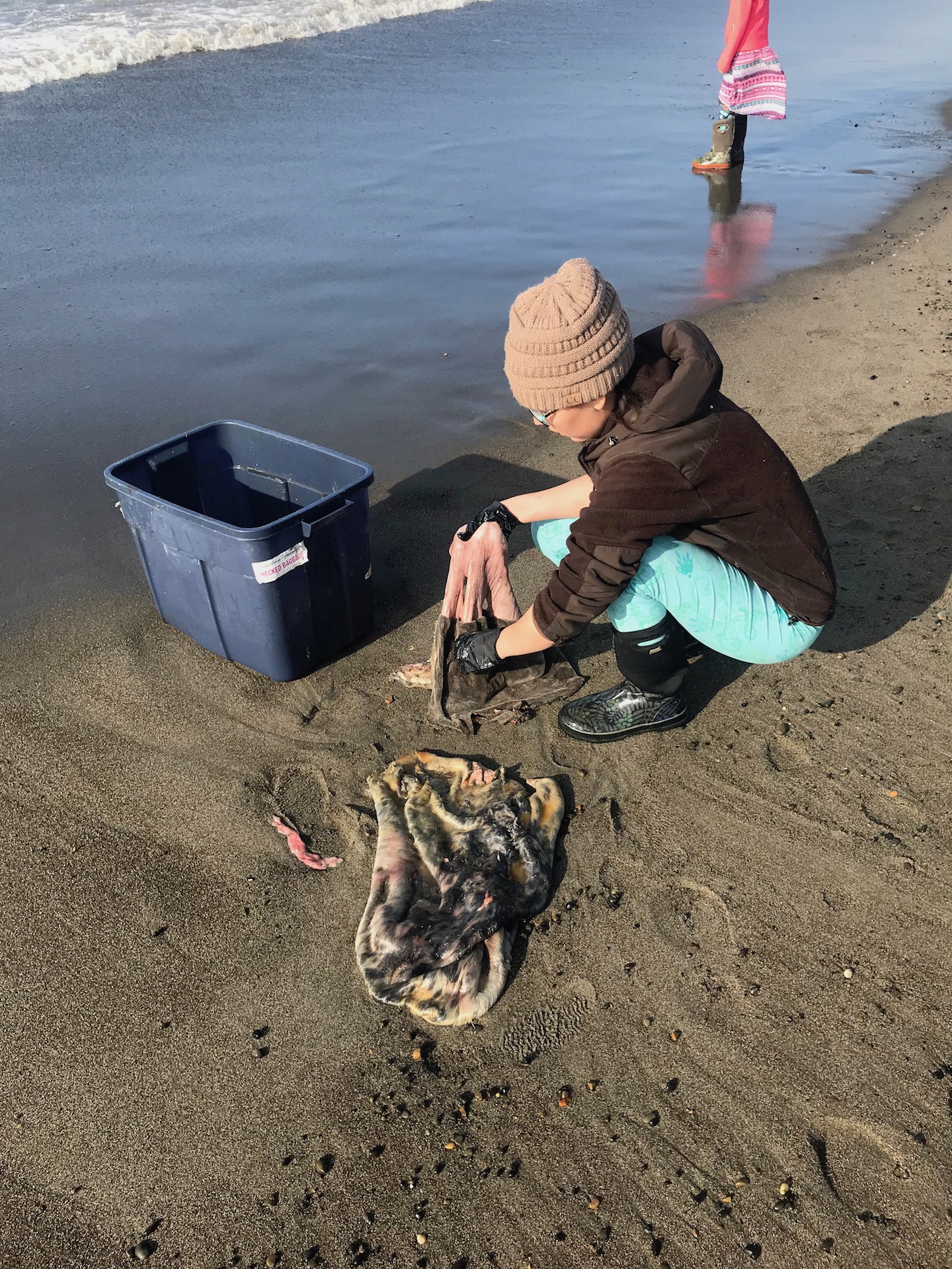 Utqiagvik Bleached Seal Skin